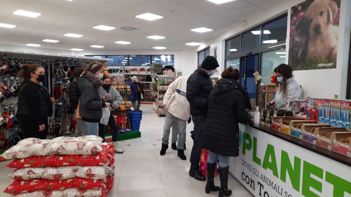 Zooplanet Lacchiarella