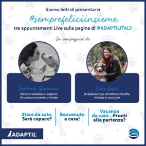 Adaptil incontri proprietari di cani