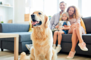 Sondaggio Aisa famiglie e animali domestici