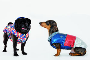 Croci abbigliamento per cani