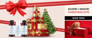 Le proposte per Natale di ElsaBeauty 