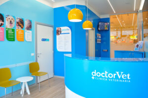 DoctorVet clinica veterinaria Buccinasco