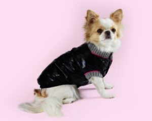 Piumino United Pets capsule collection