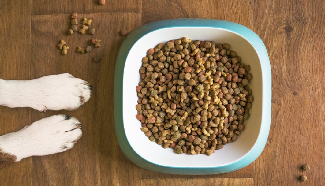 Nel 2021 la produzione mondiale di pet food è cresciuta dell'8,2