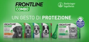 Frontline spot tv