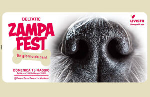 Livisto Zampafest