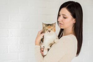 I gatti aiutano a combattere lo stress