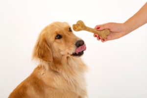 Amusi snack dentali vegetali per cani