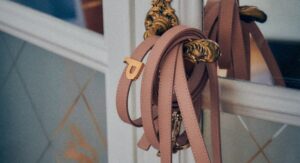 Accessori di lusso per cani