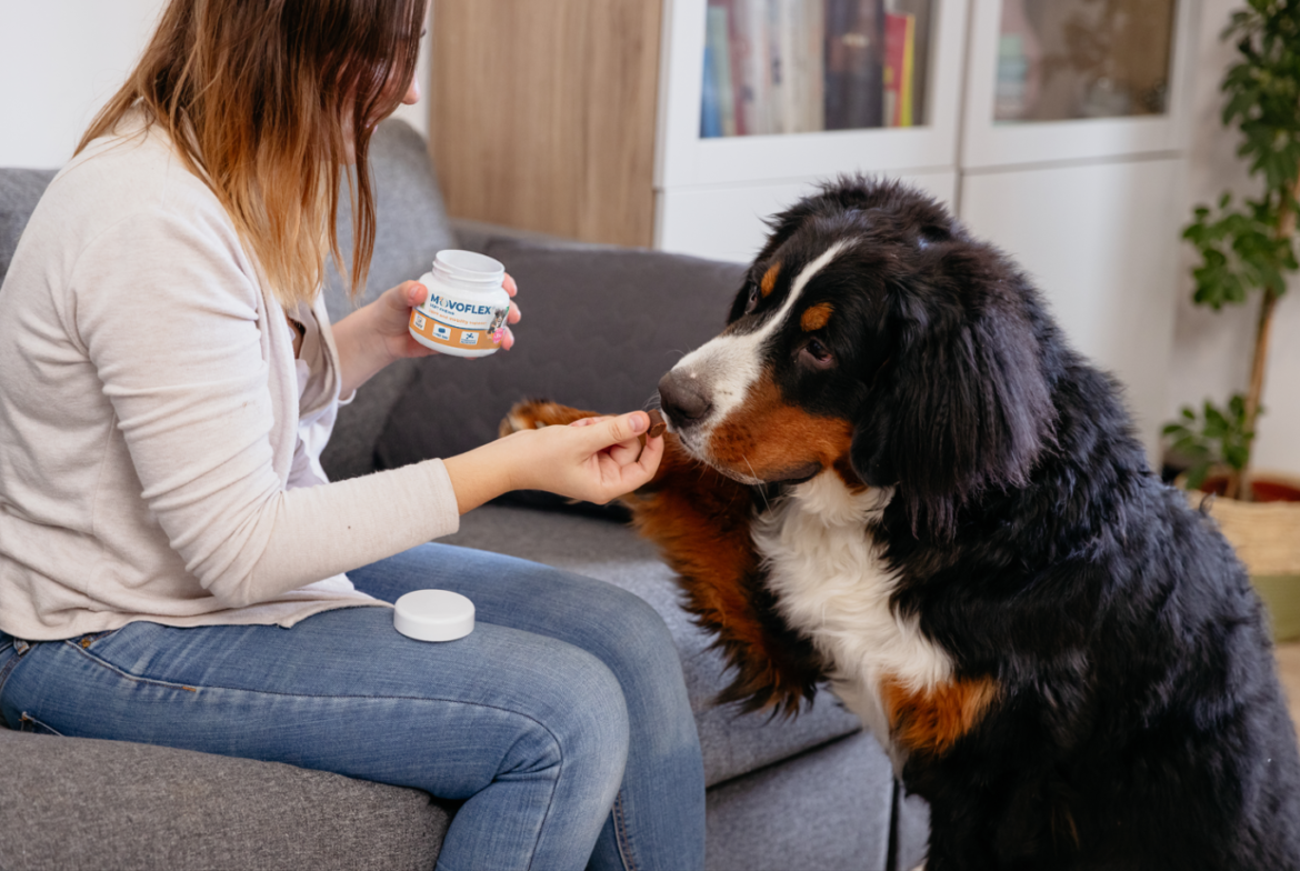 Virbac_Movoflex_Soft Chews_Alimento_complementare_Per_cani_Articolazioni Virbac alimento complementare articolazioni del cane