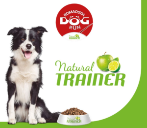 Affinity e Natural Trainer Dog Run