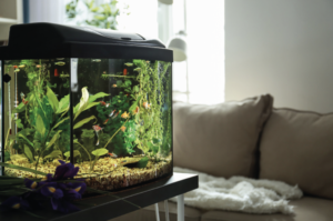 Pet B2B aprile acquariologia