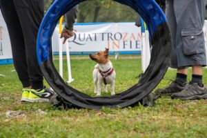 Quattrozampeinfiera Vincenza 27-28 maggio