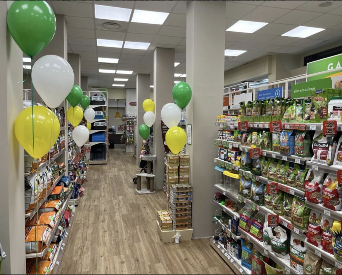 Dam 4M - L'Isola Del Tesoro, Gioco Scavo E Caccia Al Tesoro Per Bambini, Con Blocco Di Gesso, Gioielli E Mappa