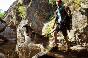 Mountain Dog Trekking