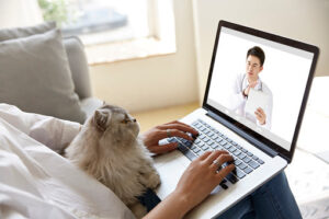 Zampylife, l'app per la telemedicina veterinaria