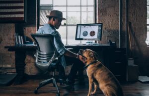 Mars cane in ufficio