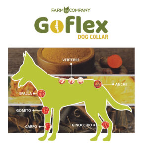 Farm Company Goflex