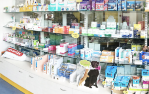 I mangimi complementari per cani e gatti rappresentano una categoria merceologica strategica per le vendite dei pet shop