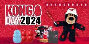 Kong Day 2