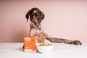 Dog Heroes, manzo e tacchino per i due nuovi alimenti freschi da dispensa per cani