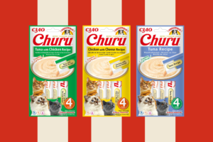 Inaba, più idratazione, gusto e benessere con i nuovi snack liquidi per gatti