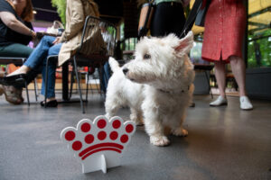 Royal Canin