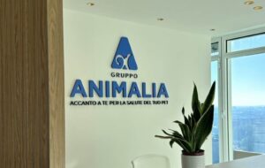 Animalia