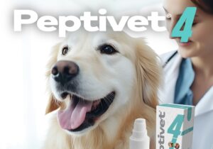 Peptivet4