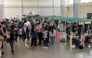 Pet Fair Pavia