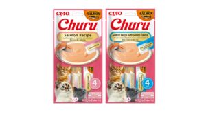 Churu Salmon