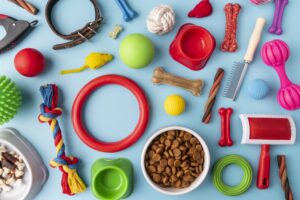 Assortimento di accessori per animali in un pet shop specializzato