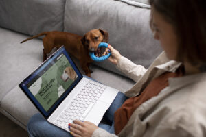 e-commerce Pet B2B Giugno