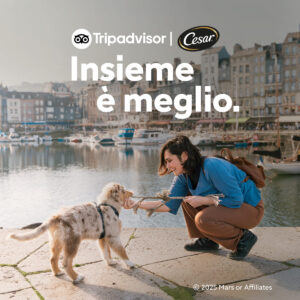 CESAR TRIPADVISOR 