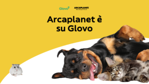 Arcaplanet e Glovo e siglano una partnership strategica per il servizio di consegna rapida a domicilio di prodotti per animali domestici.
