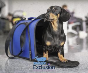 Partenership tra Moby ed Exclusion