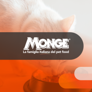 Monge sarà protagonista della nuova campagna tv di Windtre Business